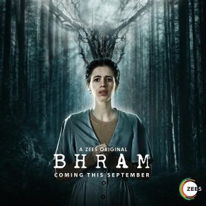 Bhram (2019) Season 1 Hindi Complete ZEE5 Original WEB Series Download 480p 720p