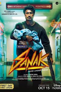 Sanak (2021) WEB-DL Hindi Full Movie Download 480p 720p 1080p