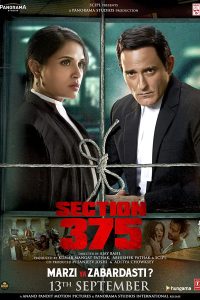 Section 375 (2019) Hindi Full Movie Download 480p 720p 1080p