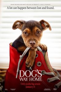 A Dog’s Way Home (2019) Hindi Dubbed Full Movie Dual Audio {Hindi-English} 480p 720p 1080p Download