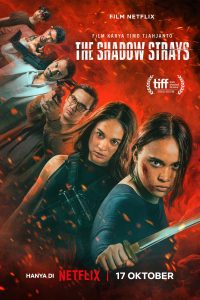 Download  The Shadow Strays (2024) NetFlix Original  WEB-DL Dual Audio {Hindi-English} Full Movie 480p 720p 1080p