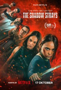 The Shadow Strays (2024) NetFlix Original  WEB-DL Dual Audio {Hindi-English} Full Movie 480p 720p 1080p